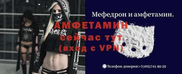 стаф Горняк