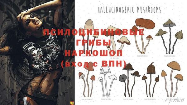 apvp Горно-Алтайск