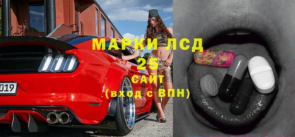 стафф Гусев