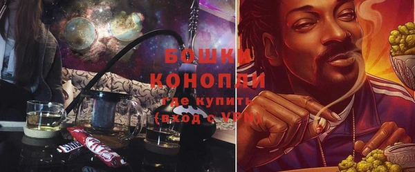 стаф Горняк