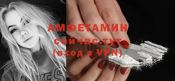 стафф Гусев