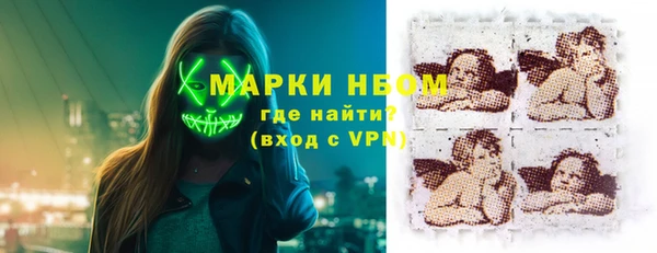 стаф Горняк