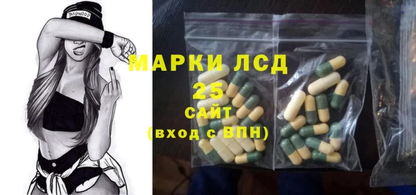 стафф Гусев