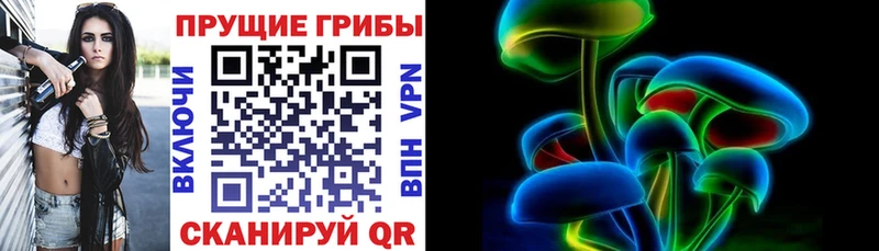 Галлюциногенные грибы Psilocybine cubensis  Купить  Оханск 